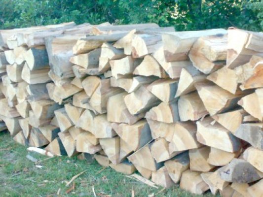 Primăria demarează distribuţia lemnelor pentru încălzire